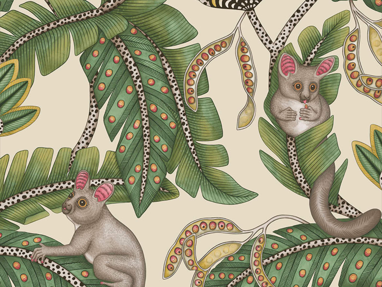 Cole & Son Ardmore Jabula Bush Baby - 119/7035