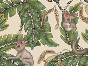 Cole & Son Ardmore Jabula Bush Baby - 119/7035