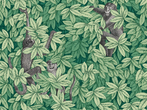 Cole & Son Fornasetti Senza Tempo II - Foglie e Scimmie - 123/10049