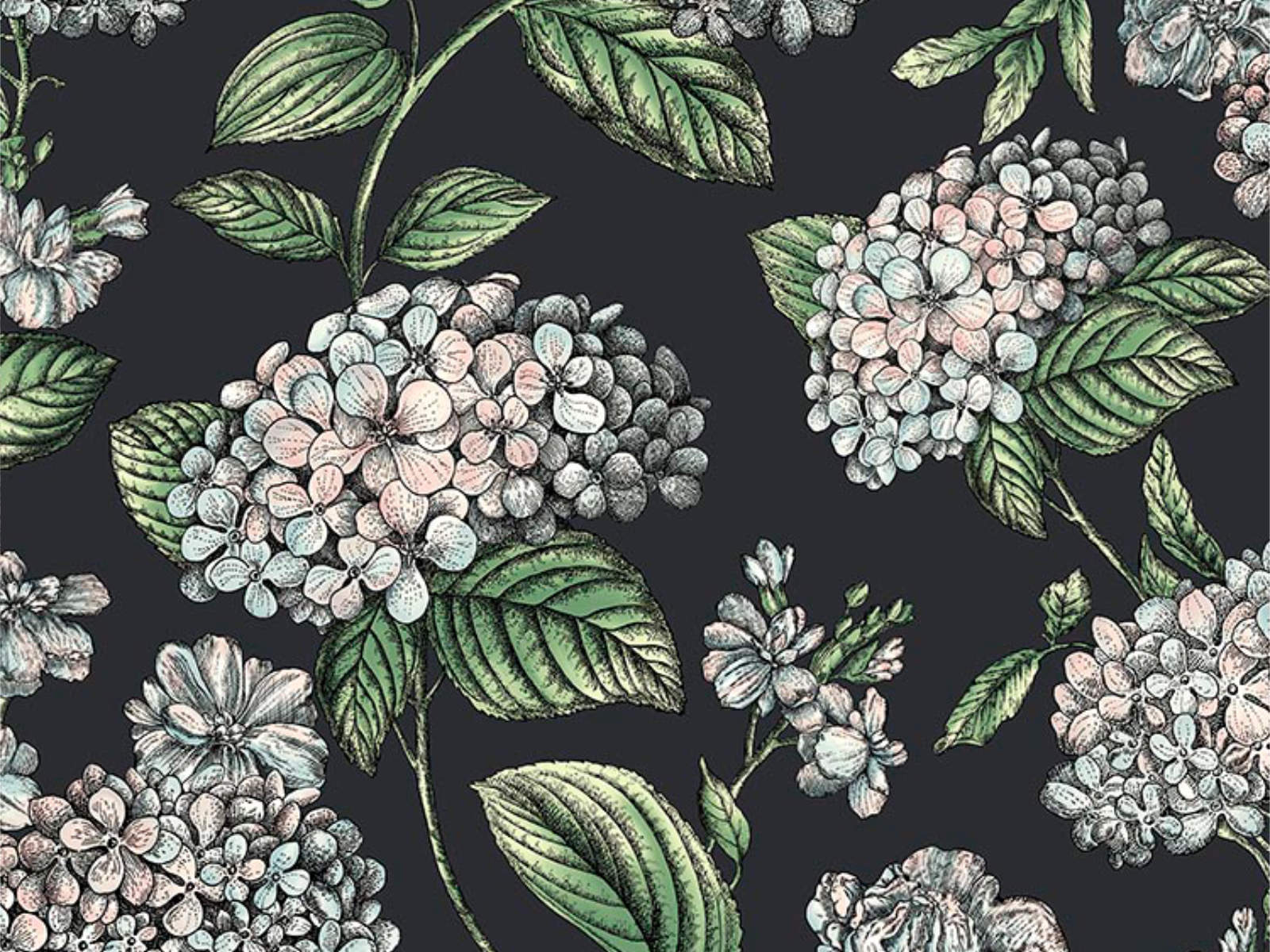 Cole & Son Fornasetti Senza Tempo II - Ramo di Ortensia - 123/8038