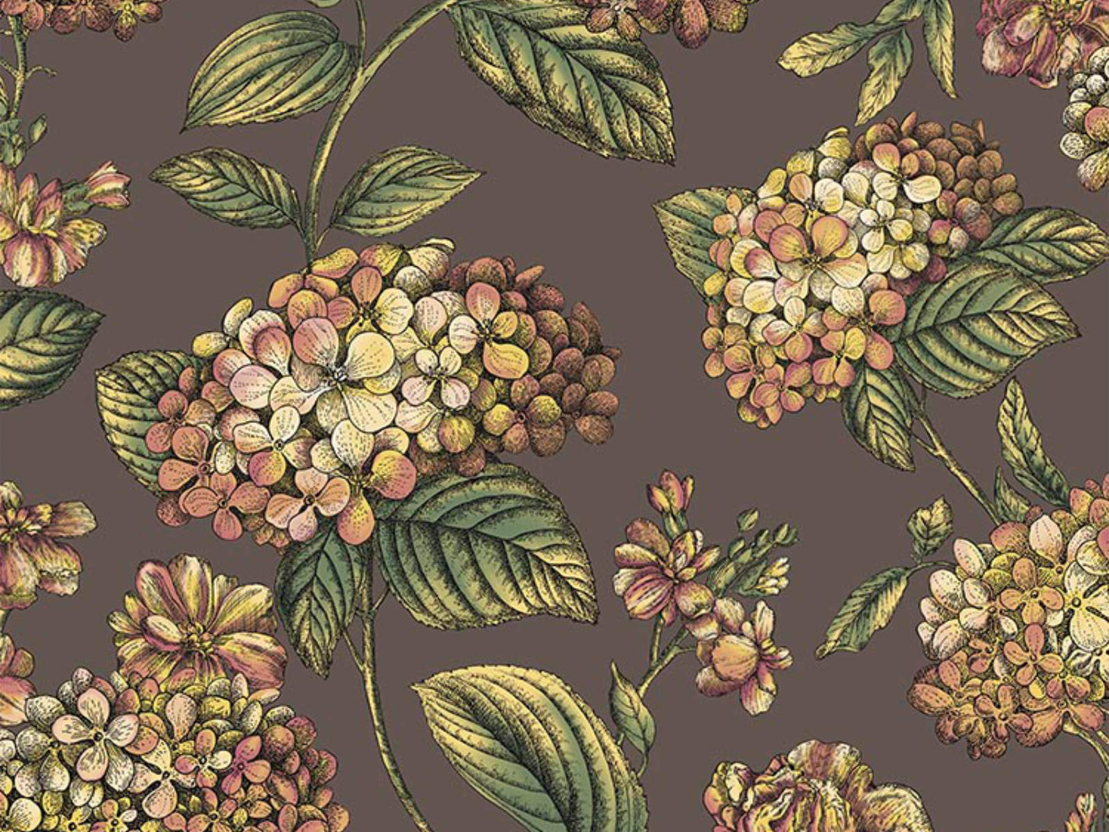 Cole & Son Fornasetti Senza Tempo II - Ramo di Ortensia - 123/8041