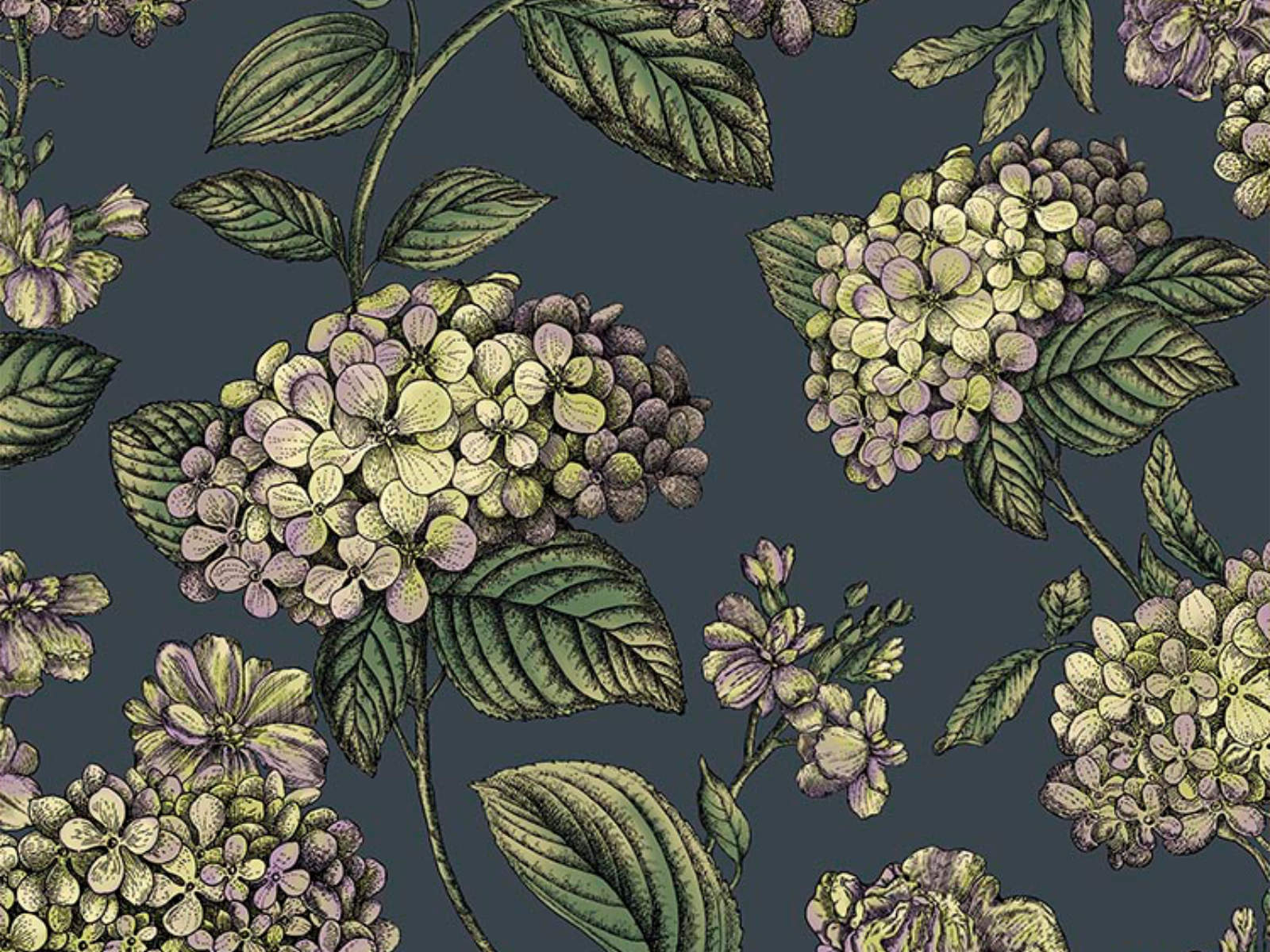 Cole & Son Fornasetti Senza Tempo II - Ramo di Ortensia - 123/8042