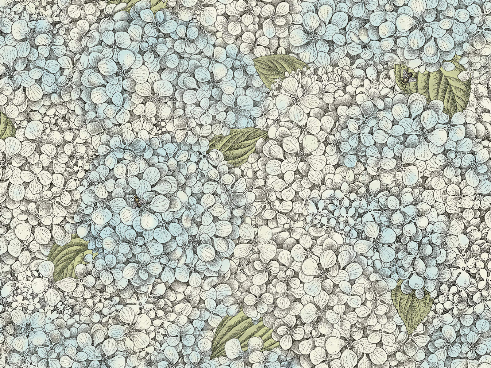 Cole & Son Fornasetti Senza Tempo II - Ortensia - 123/9044