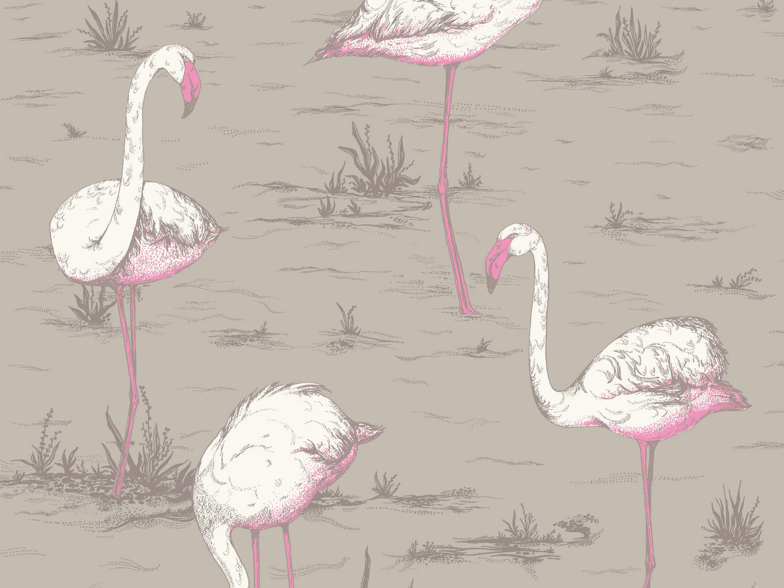 Cole & Son The Contemporary Collection Flamingos - 66/6042