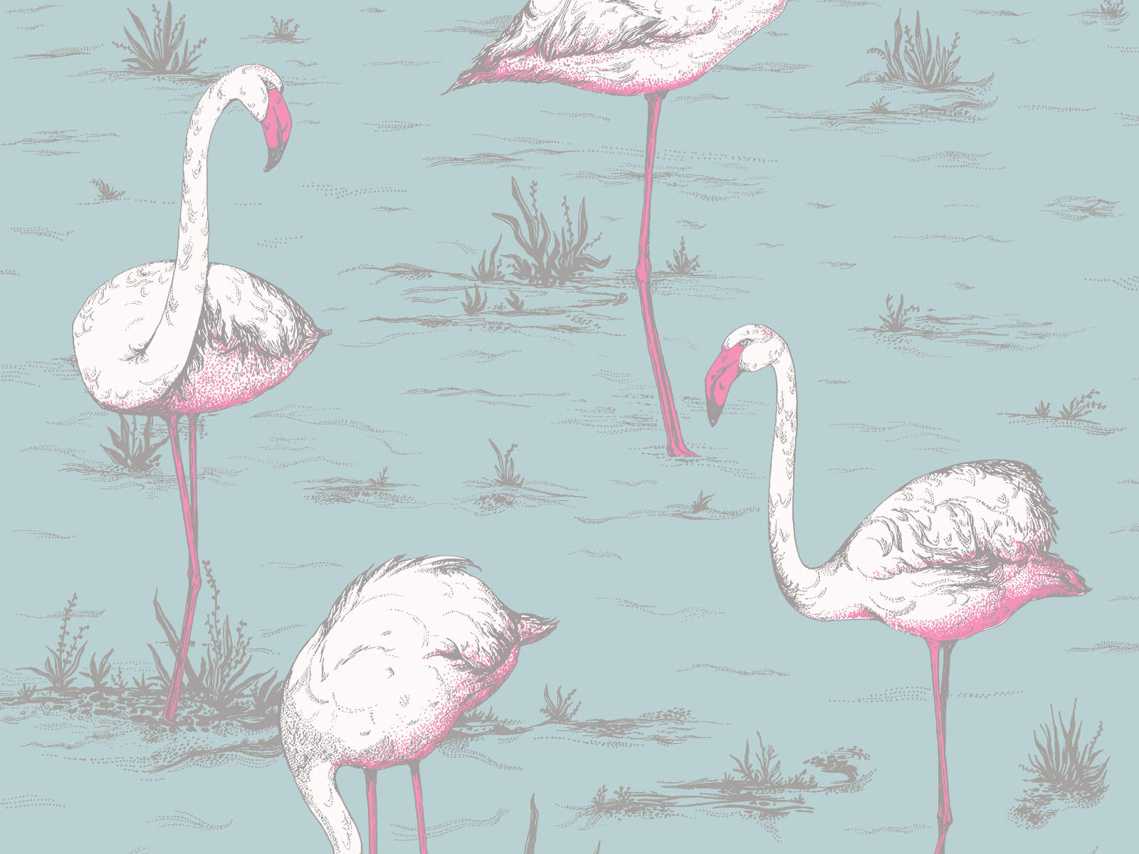 Cole & Son The Contemporary Collection Flamingos - 66/6044