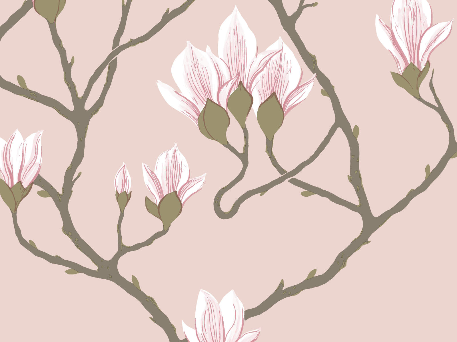 Cole & Son The Contemporary Collection Magnolia - 72/3009