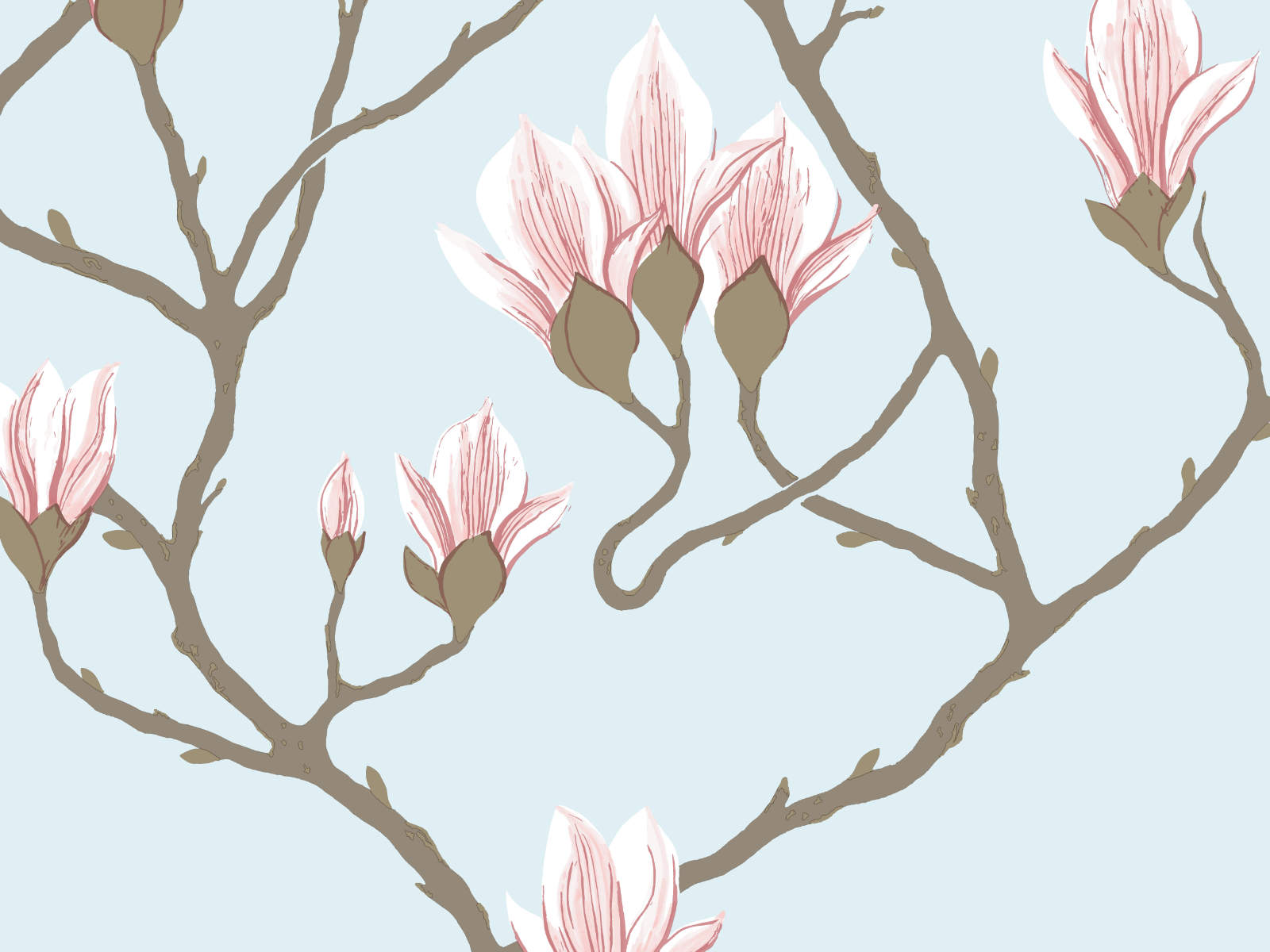 Cole & Son The Contemporary Collection Magnolia - 72/3011