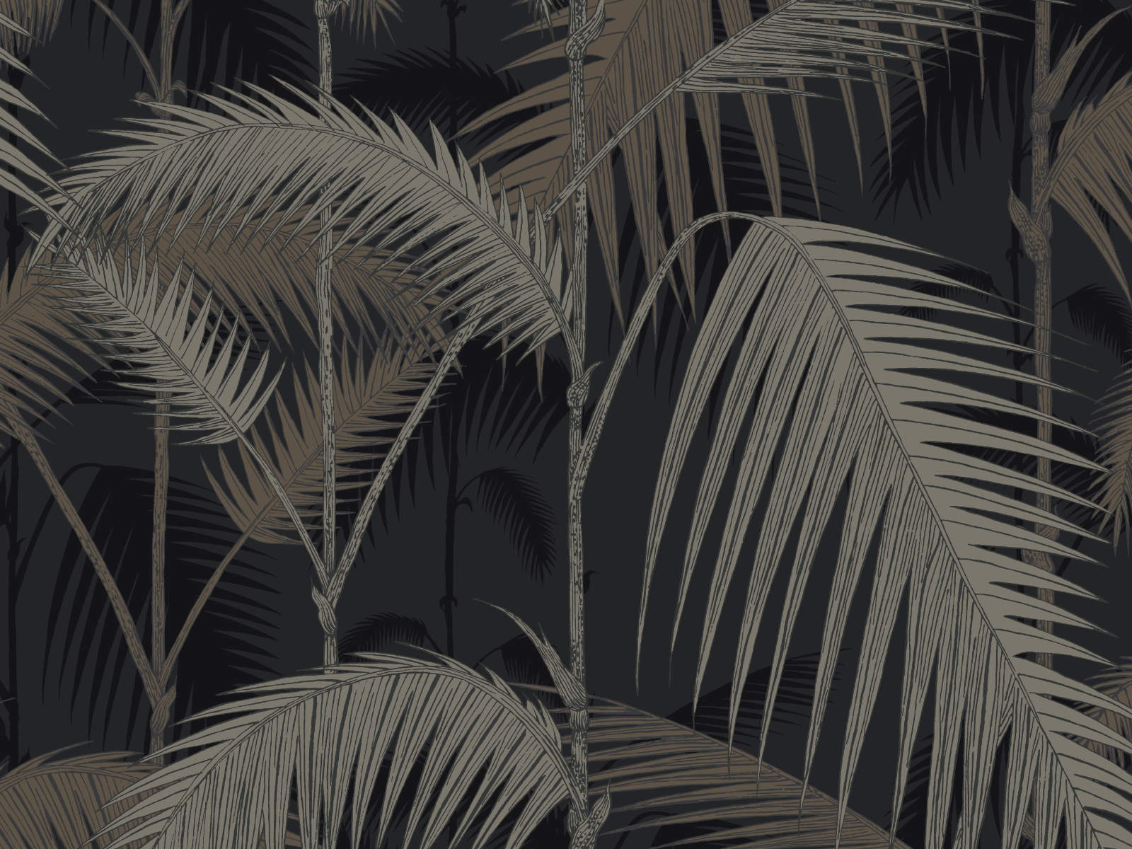 Cole & Son The Contemporary Collection Palm Jungle - 95/1004