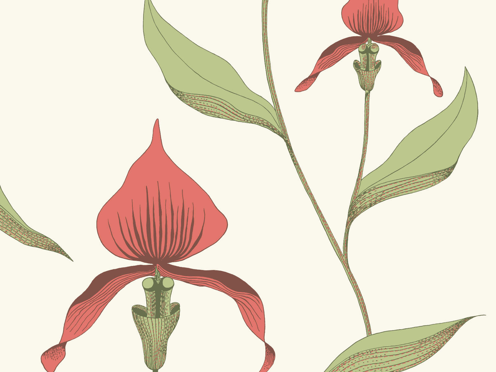 Cole & Son The Contemporary Collection Orchid - 95/10054