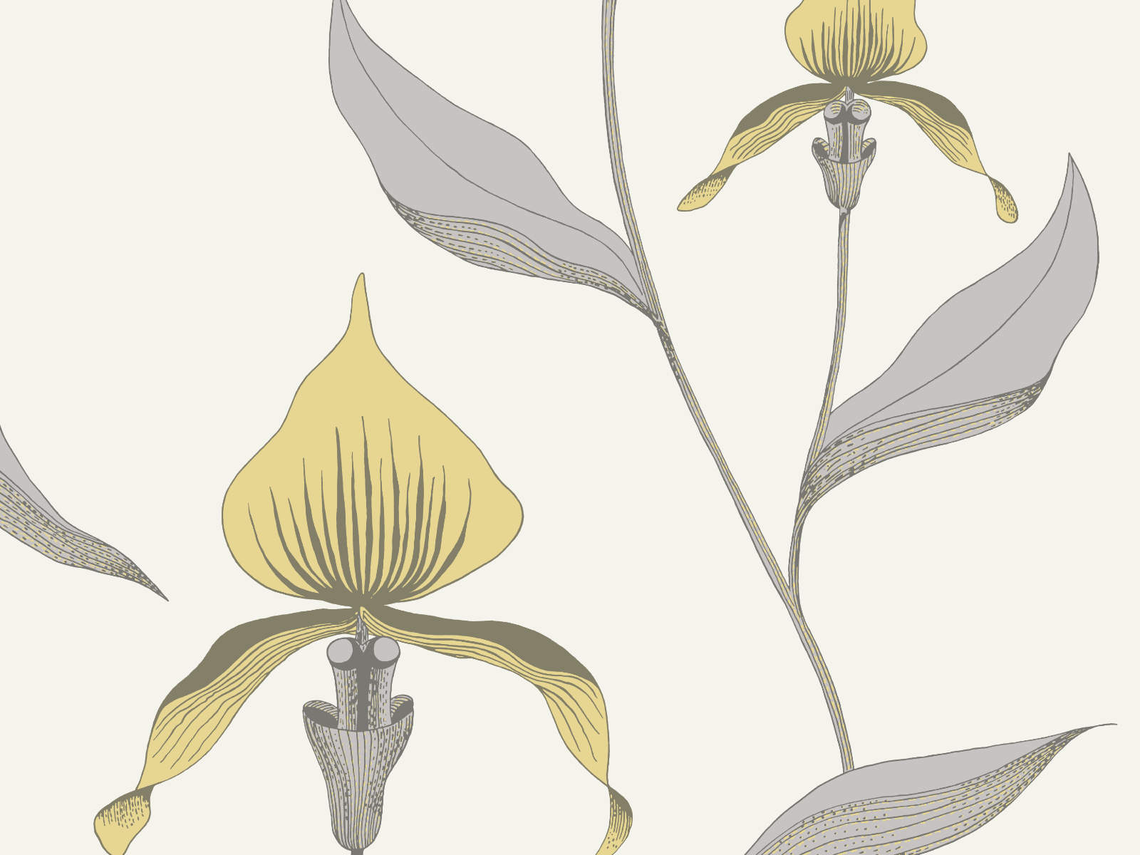 Cole & Son The Contemporary Collection Orchid - 95/10057