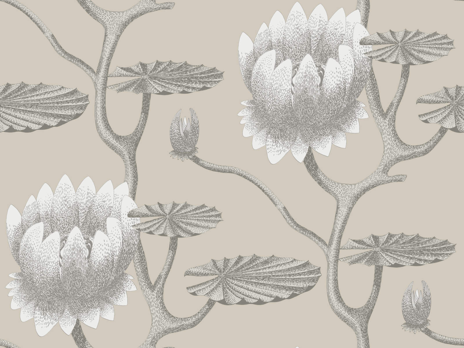 Cole & Son The Contemporary Collection Summer Lily - 95/4025