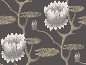 Cole & Son The Contemporary Collection Summer Lily - 95/4026