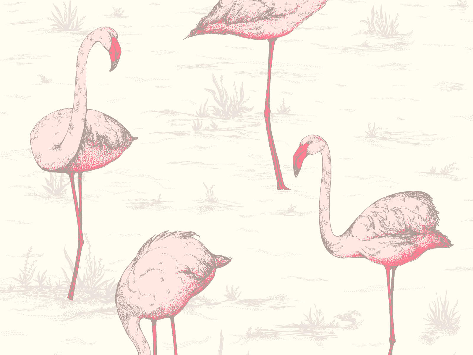 Cole & Son The Contemporary Collection Flamingos - 95/8045