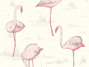 Cole & Son The Contemporary Collection Flamingos - 95/8045
