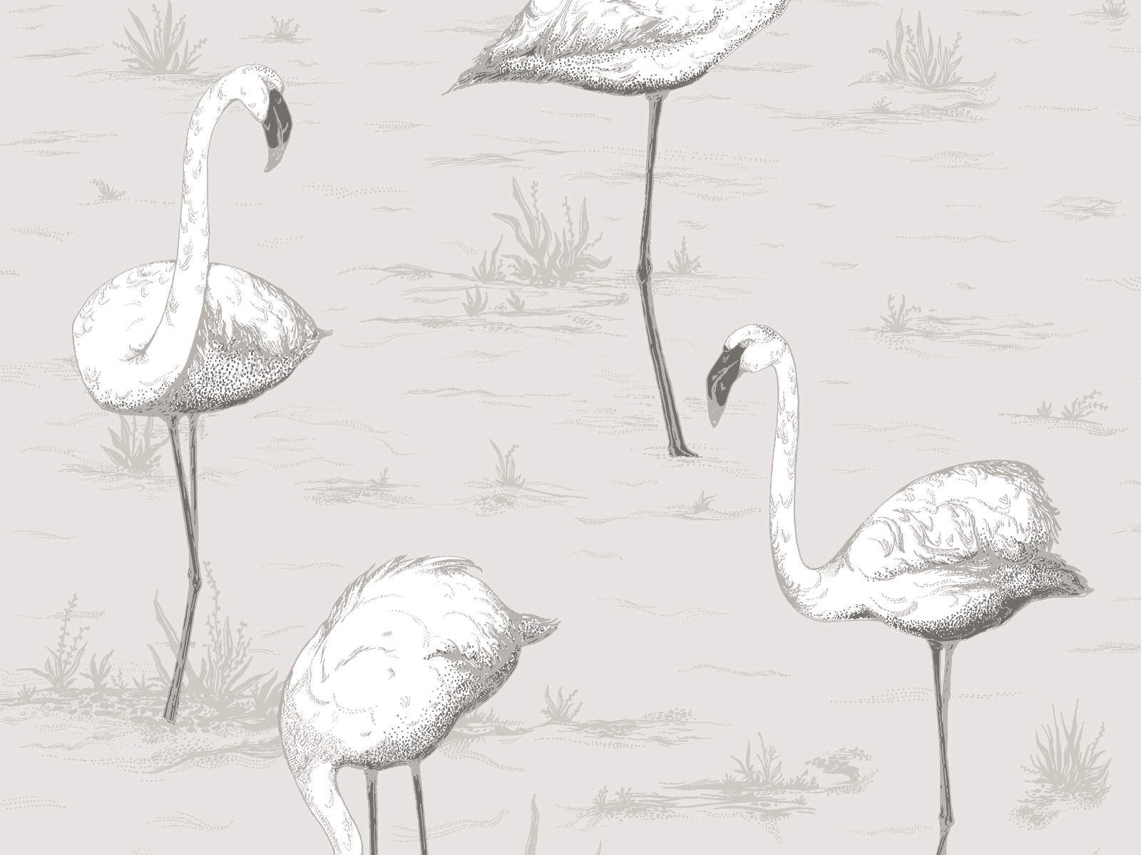 Cole & Son The Contemporary Collection Flamingos - 95/8046