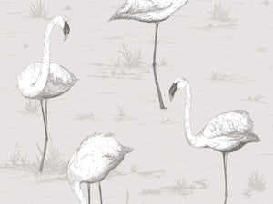 Cole & Son The Contemporary Collection Flamingos - 95/8046