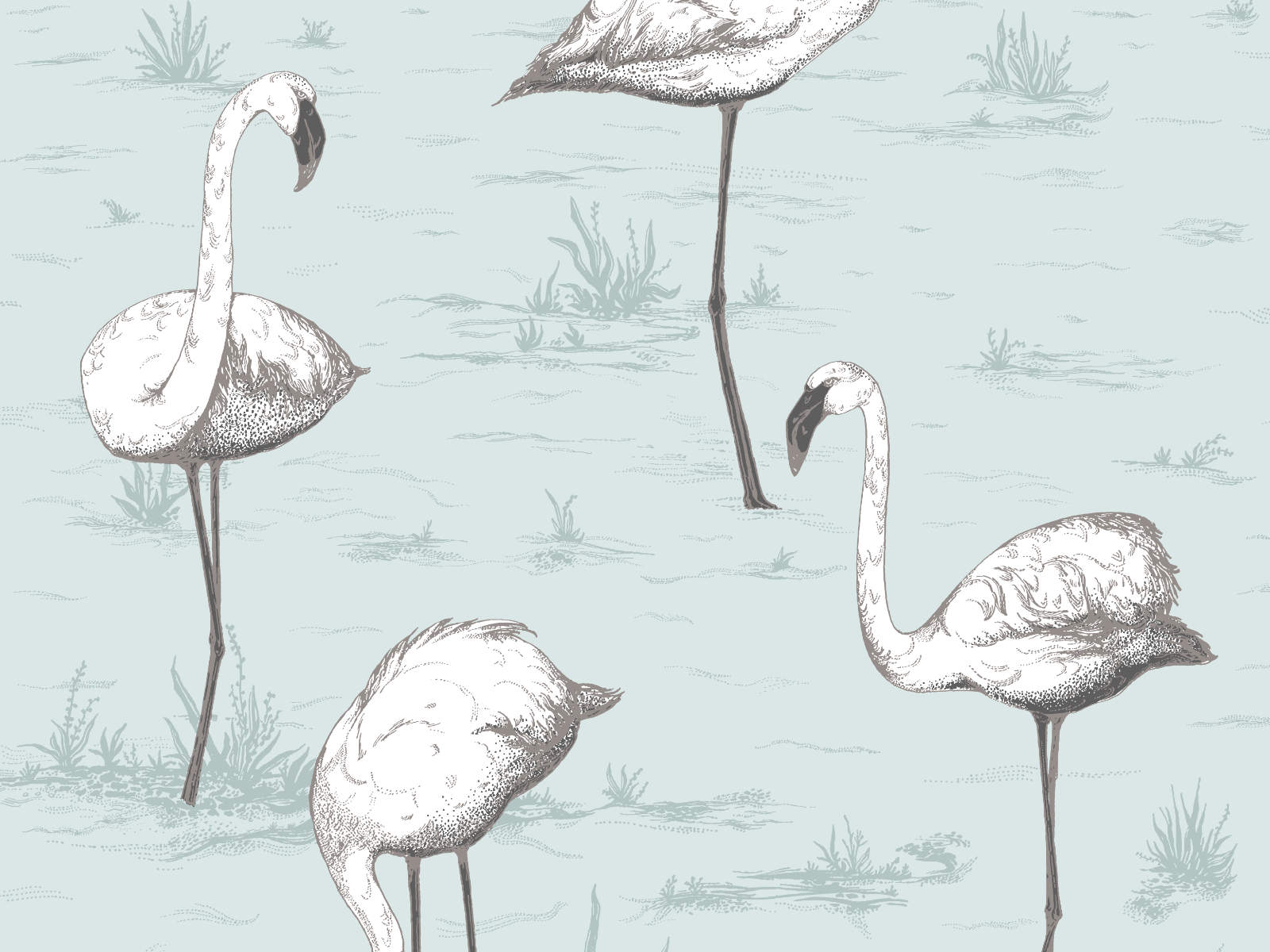 Cole & Son The Contemporary Collection Flamingos - 95/8047