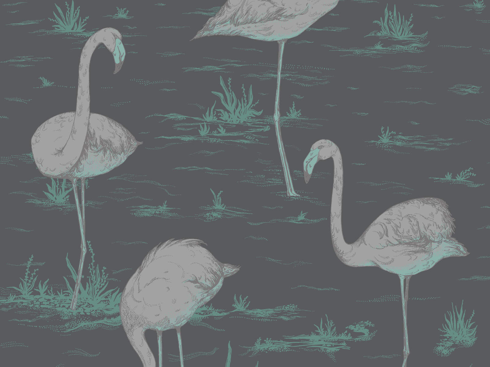 Cole & Son The Contemporary Collection Flamingos - 95/8048