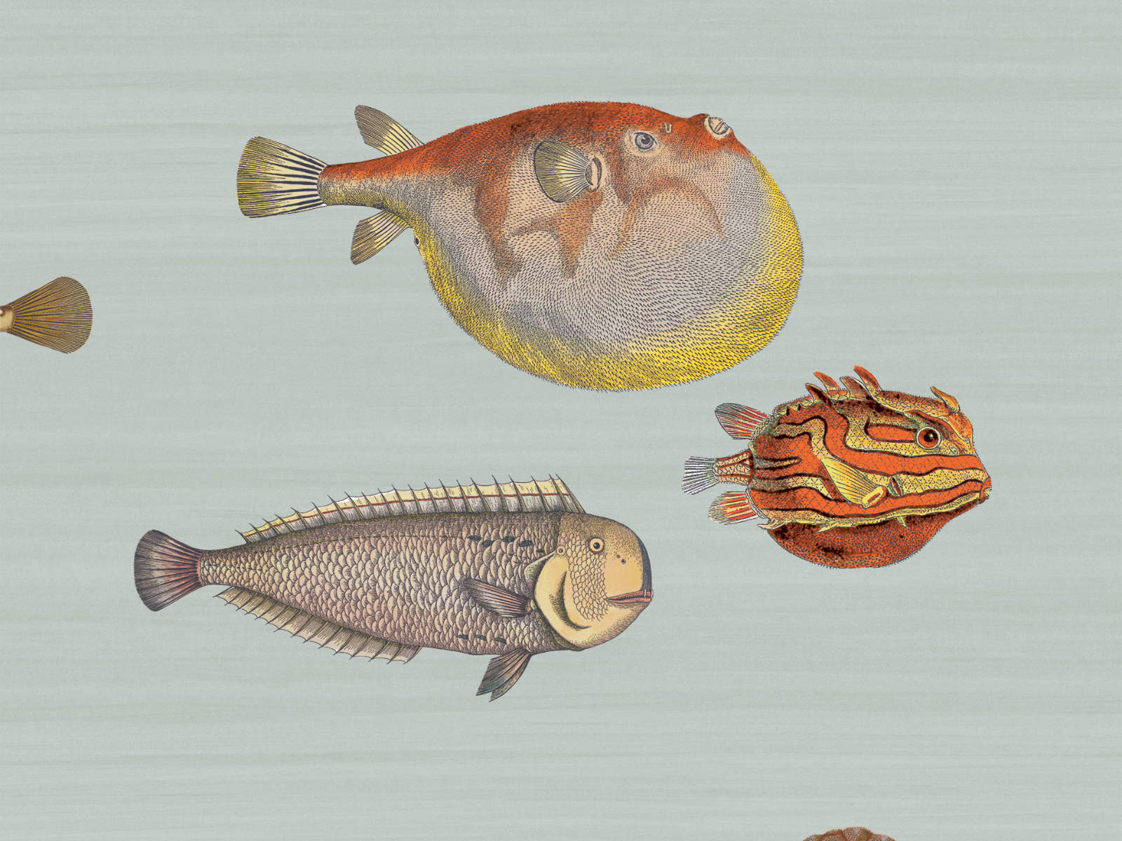 Cole & Son Fornasetti Senza Tempo Acquario - 97/10030