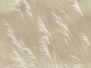 Eijffinger Waterfront - 300900