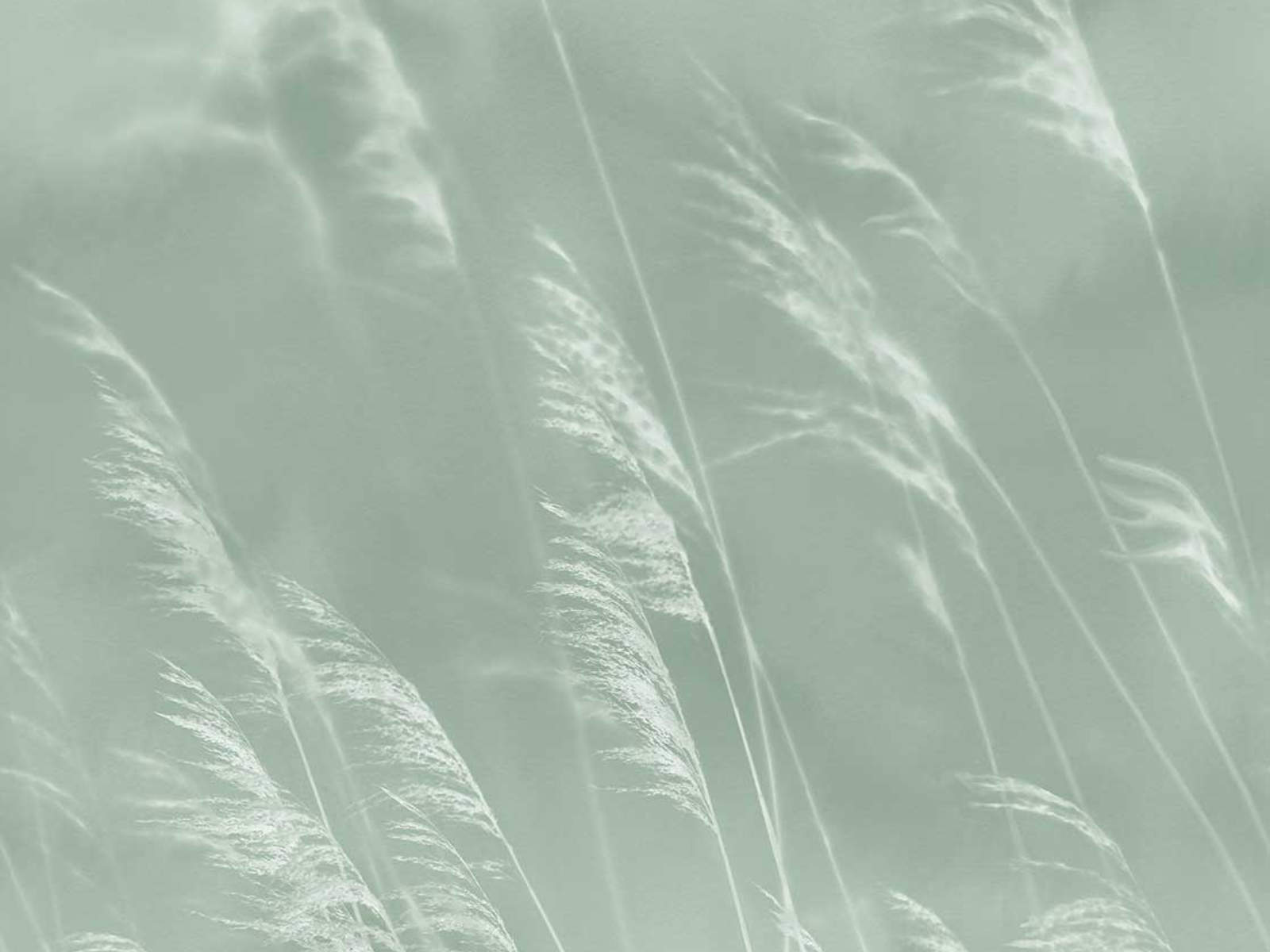 Eijffinger Waterfront - 300901