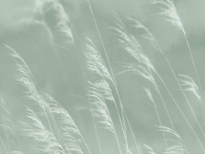 Eijffinger Waterfront - 300901