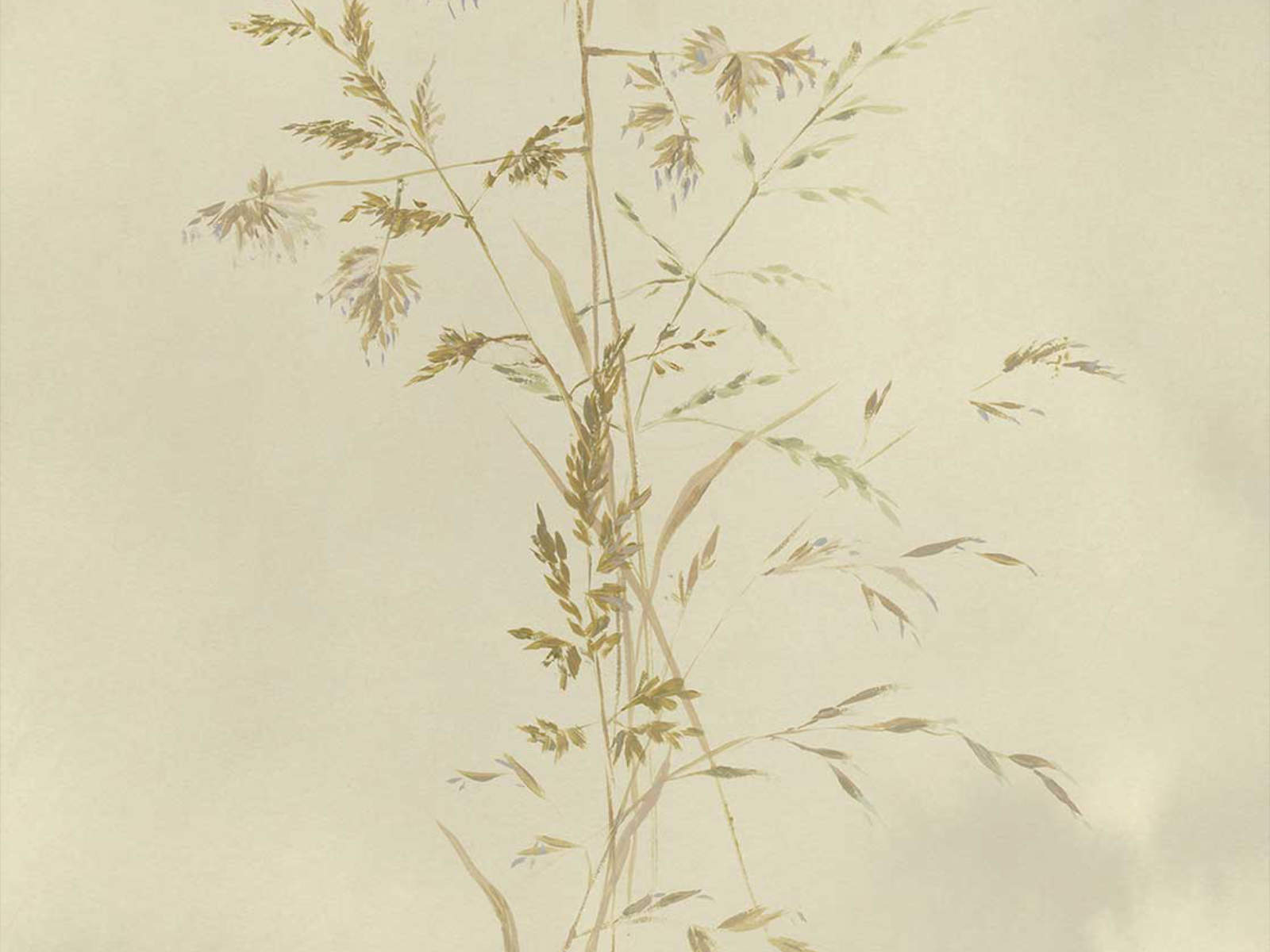 Eijffinger Waterfront - 300903