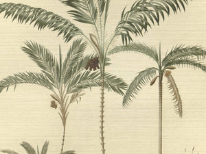 Eijffinger Oasis - 317406