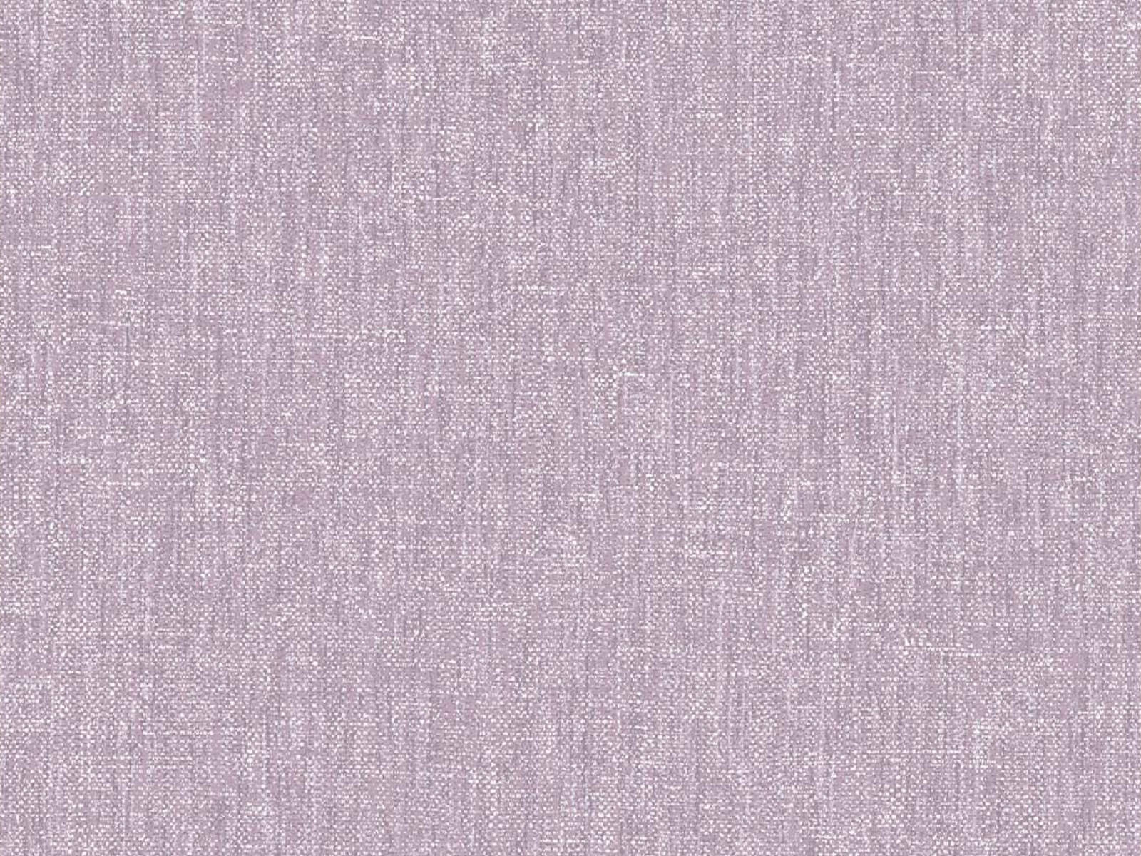 Eijffinger Festival - 333533