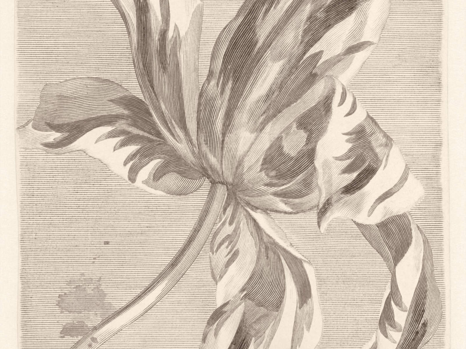 Eijffinger Masterpiece - 358117