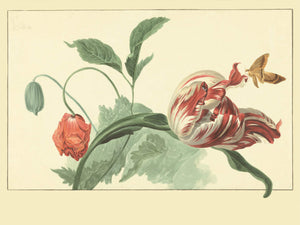 Eijffinger Masterpiece - 358118