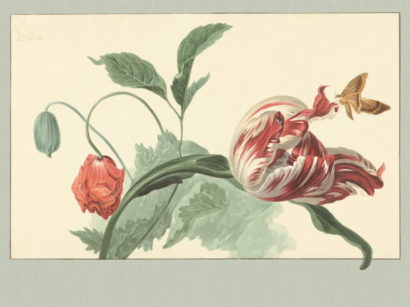 Eijffinger Masterpiece - 358119