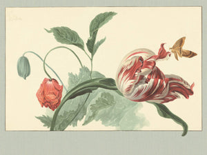 Eijffinger Masterpiece - 358119