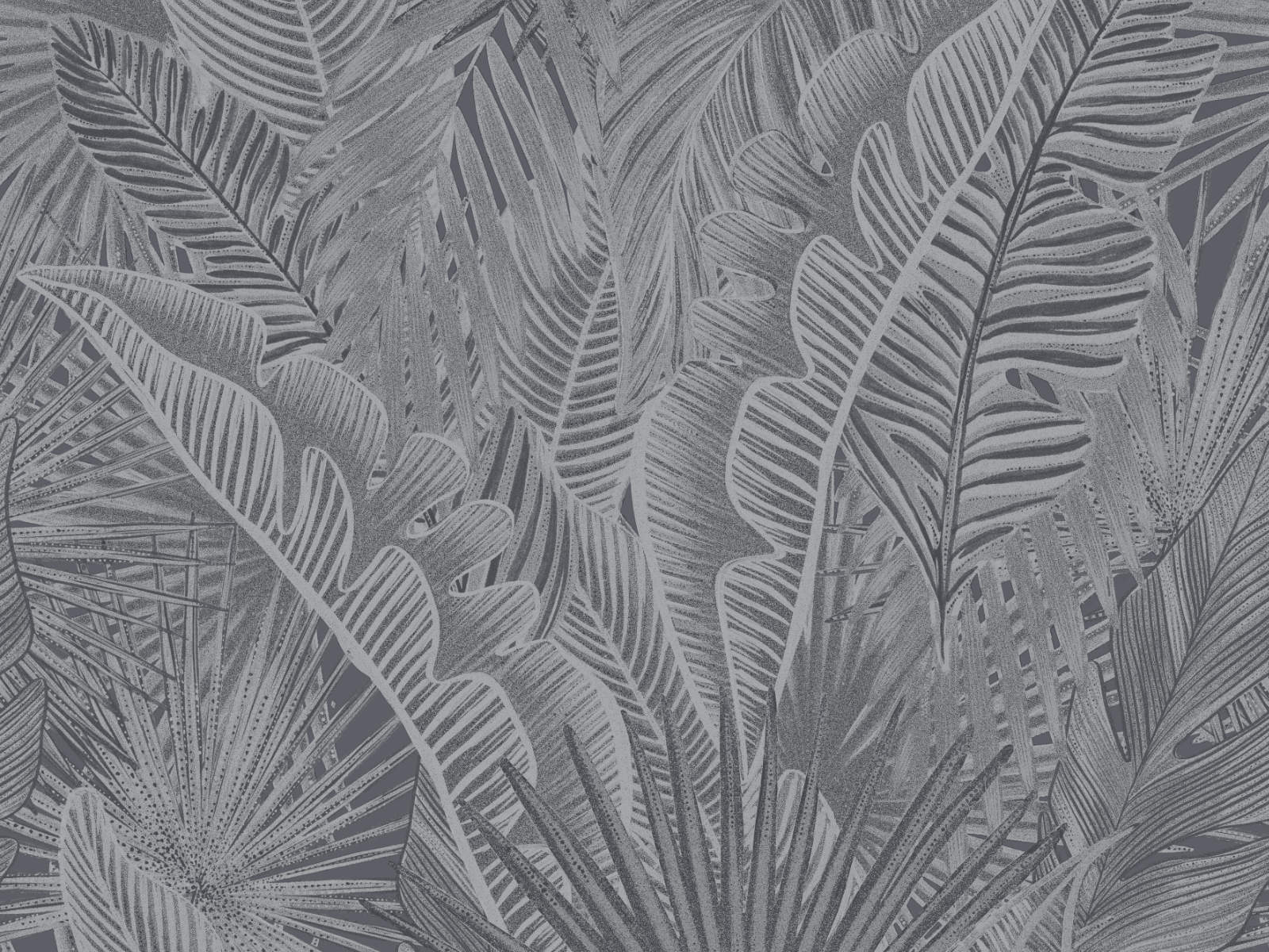 HookedOnWalls Leopard Walk Kiskaara - 15315