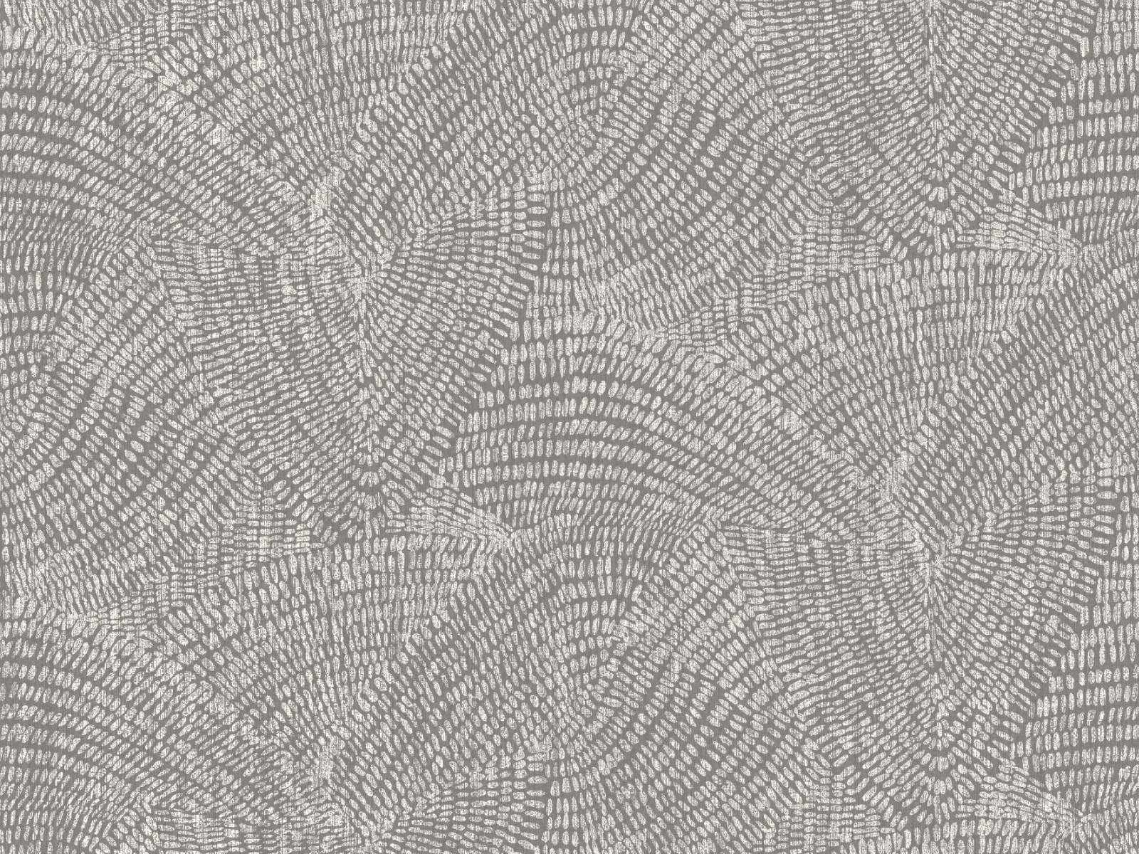 HookedOnWalls Leopard Walk Rulong - 15321