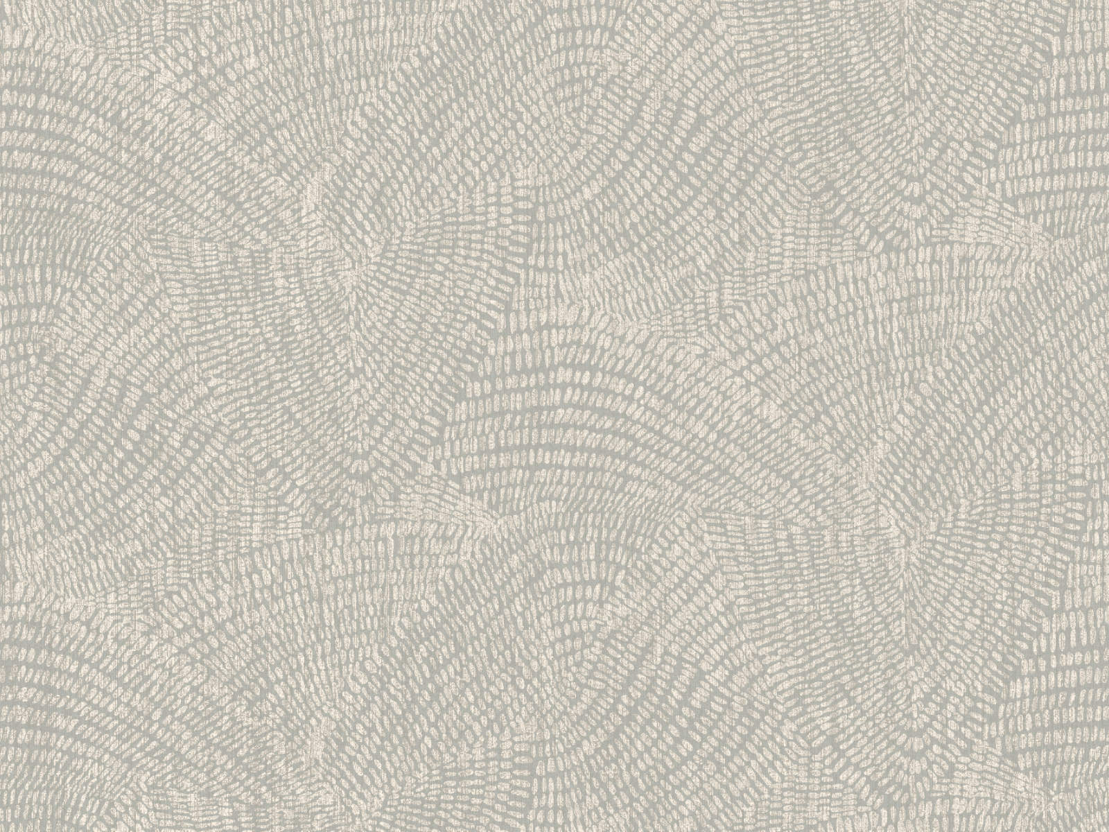 HookedOnWalls Leopard Walk Rulong - 15322