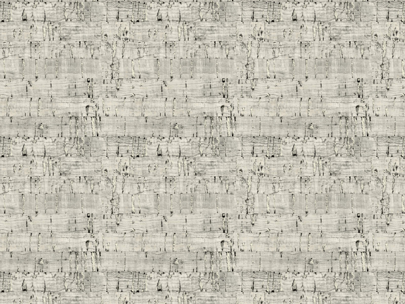 HookedOnWalls Leopard Walk Suber - 15325