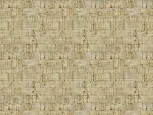 HookedOnWalls Leopard Walk Suber - 15326