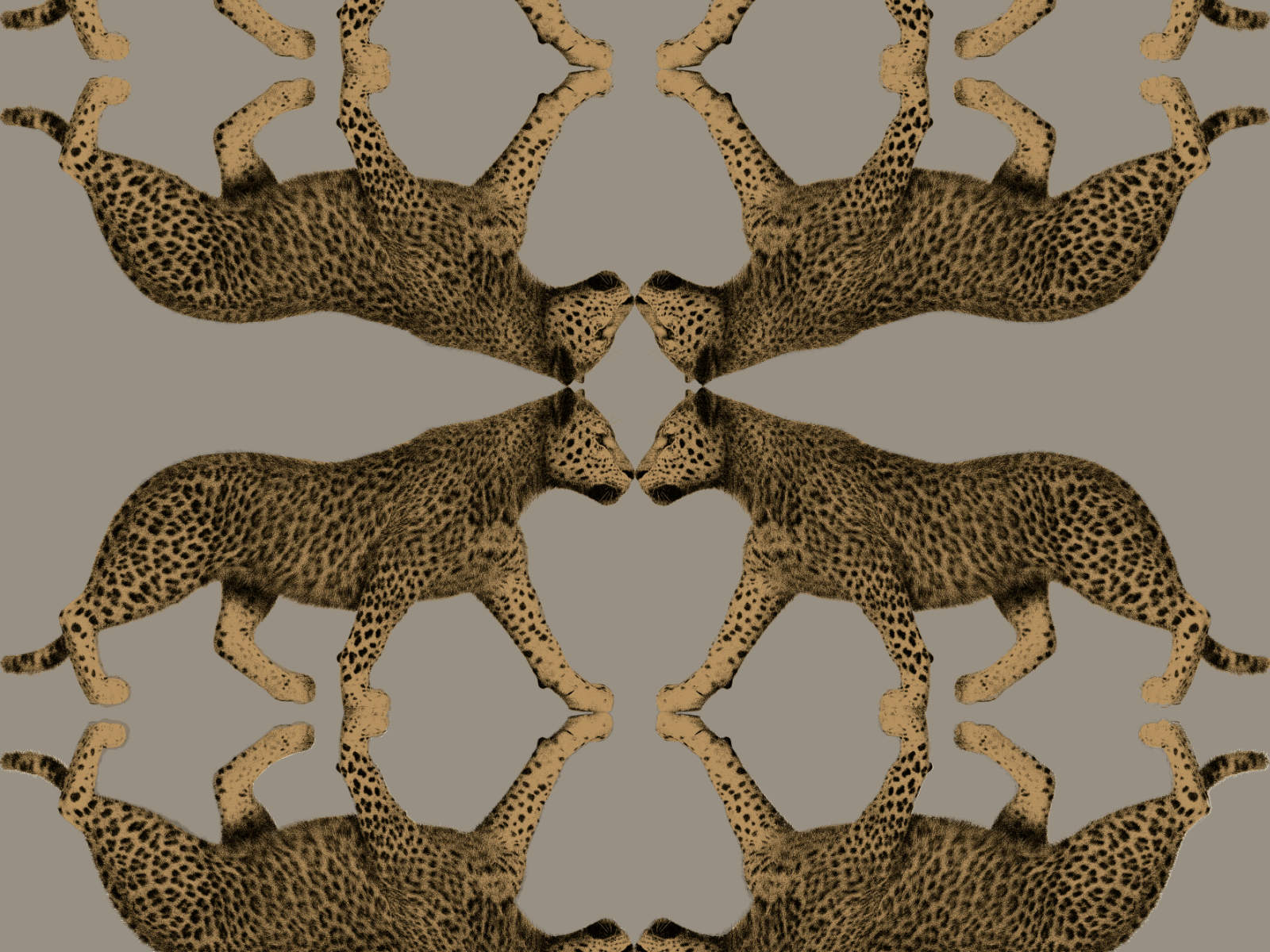 HookedOnWalls Leopard Walk Sabor - 15330