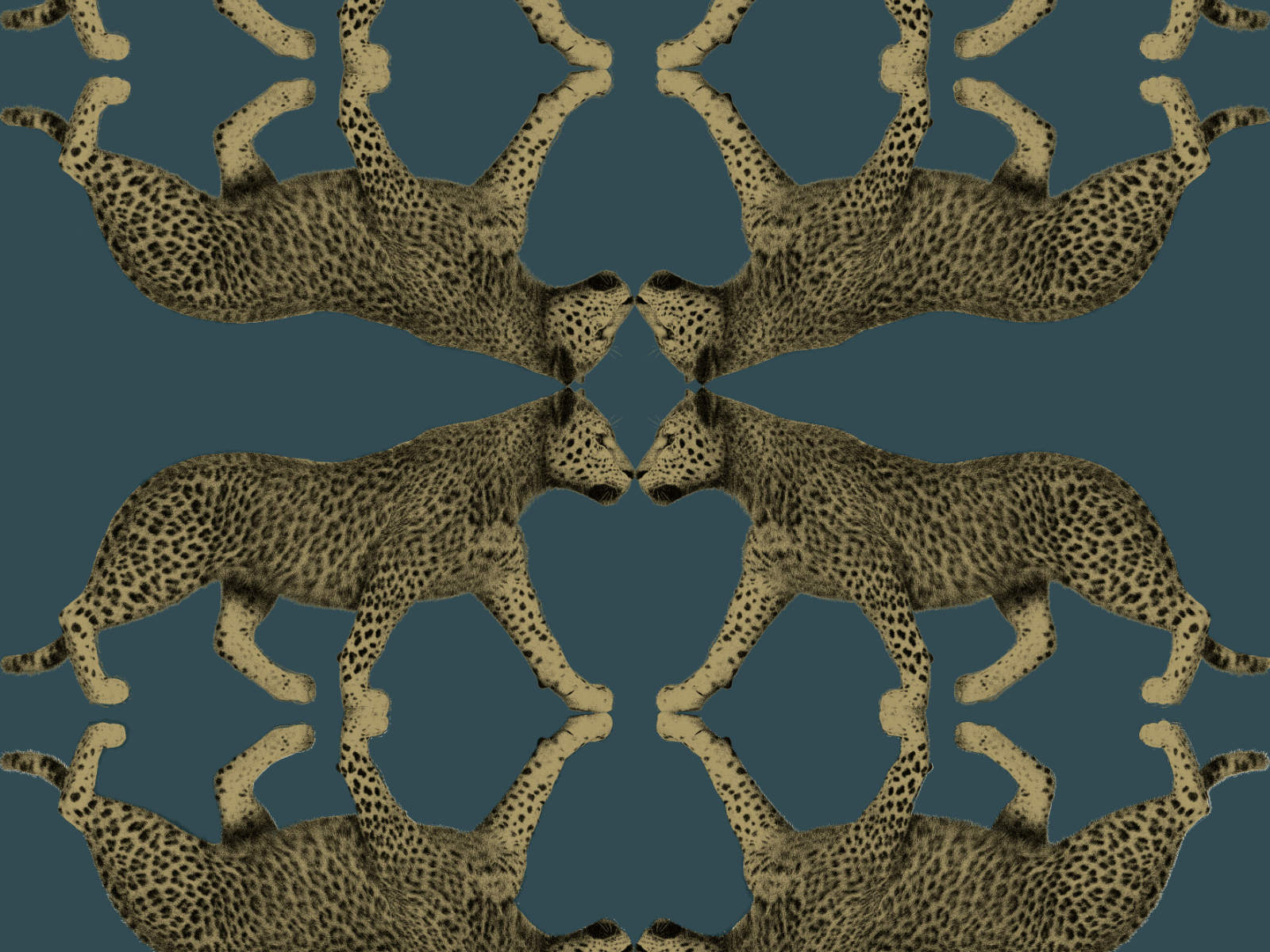 HookedOnWalls Leopard Walk Sabor - 15331