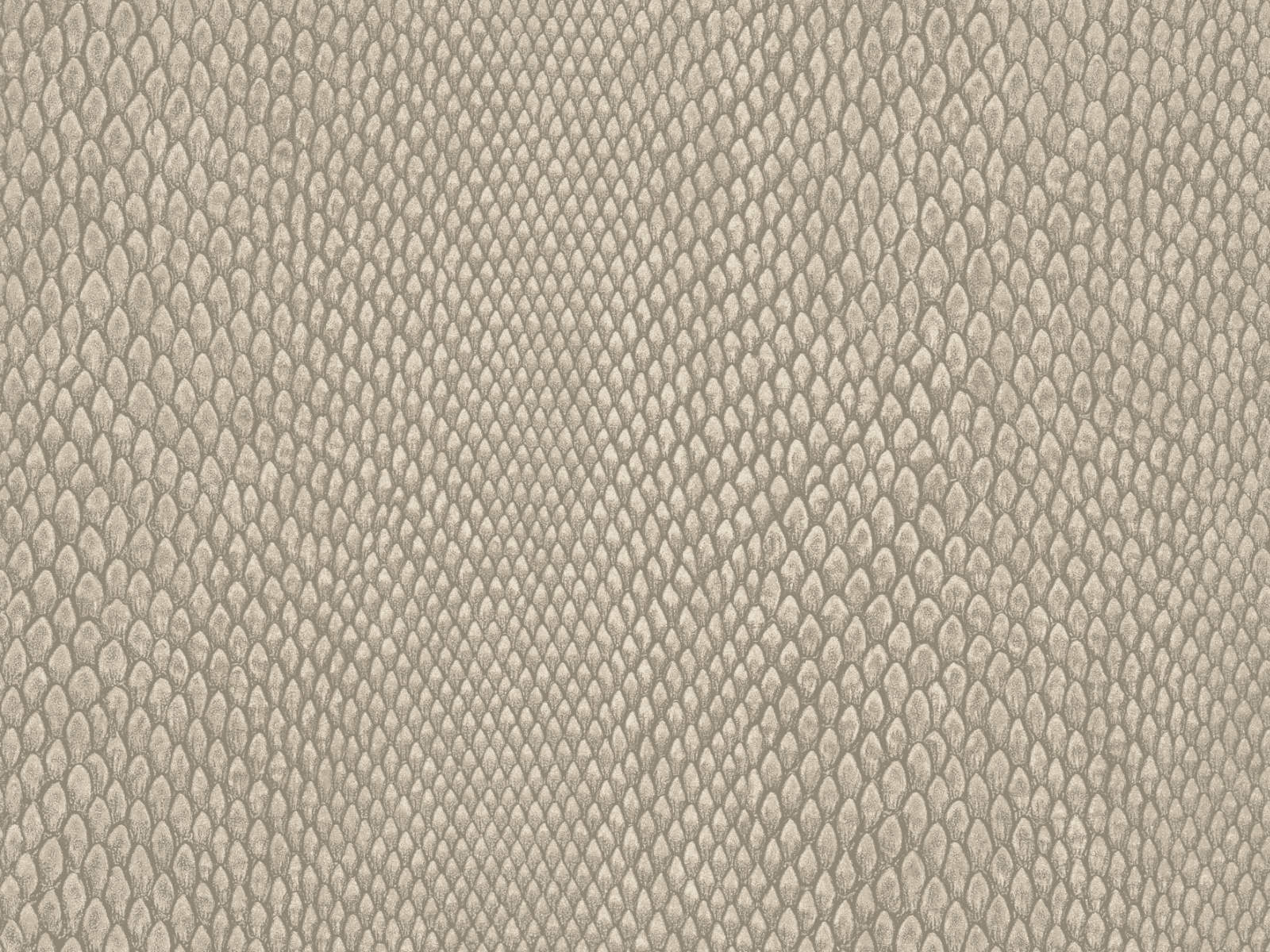 HookedOnWalls Leopard Walk Naja - 15332