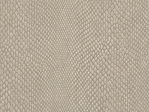 HookedOnWalls Leopard Walk Naja - 15332