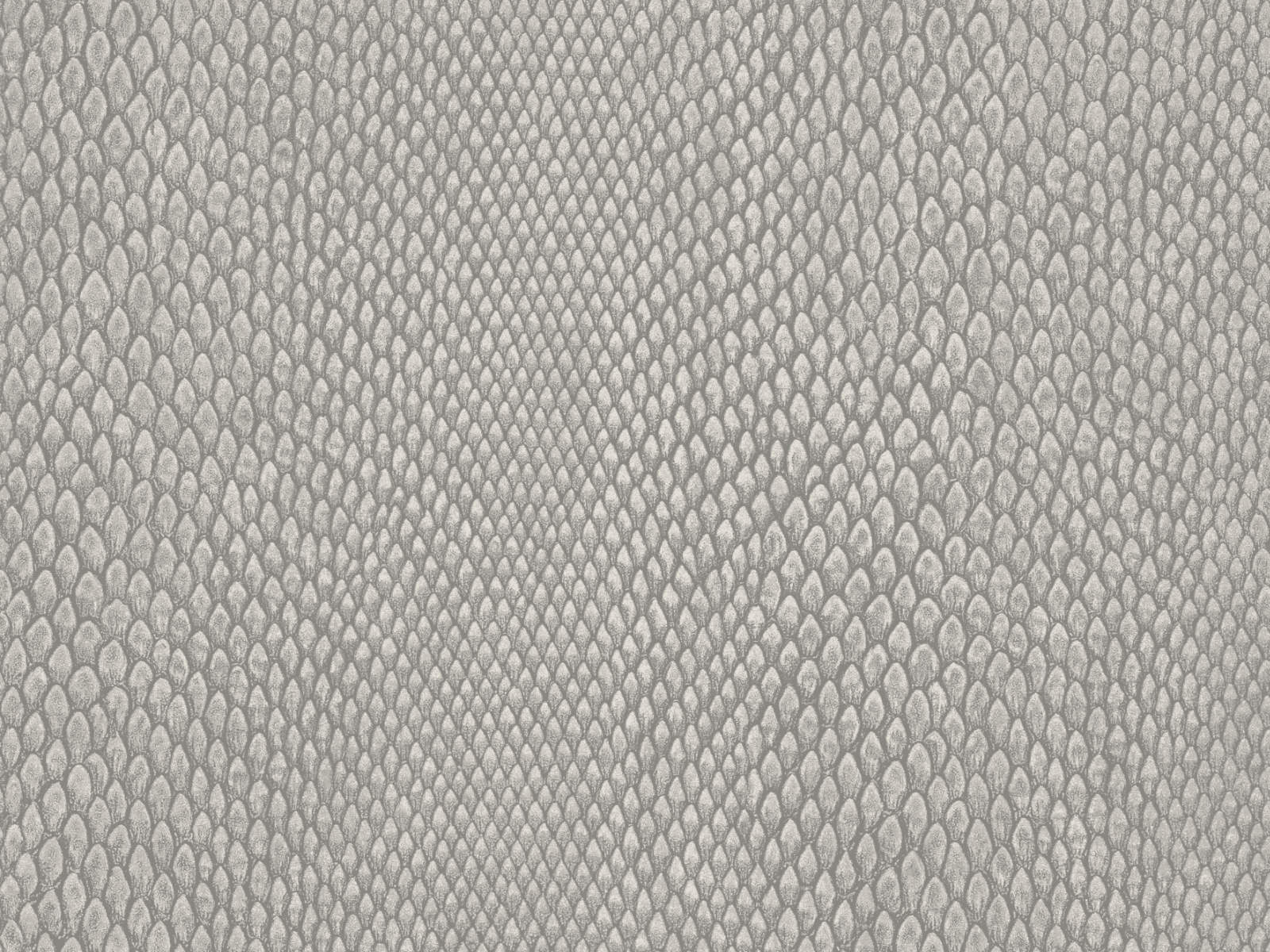 HookedOnWalls Leopard Walk Naja - 15333