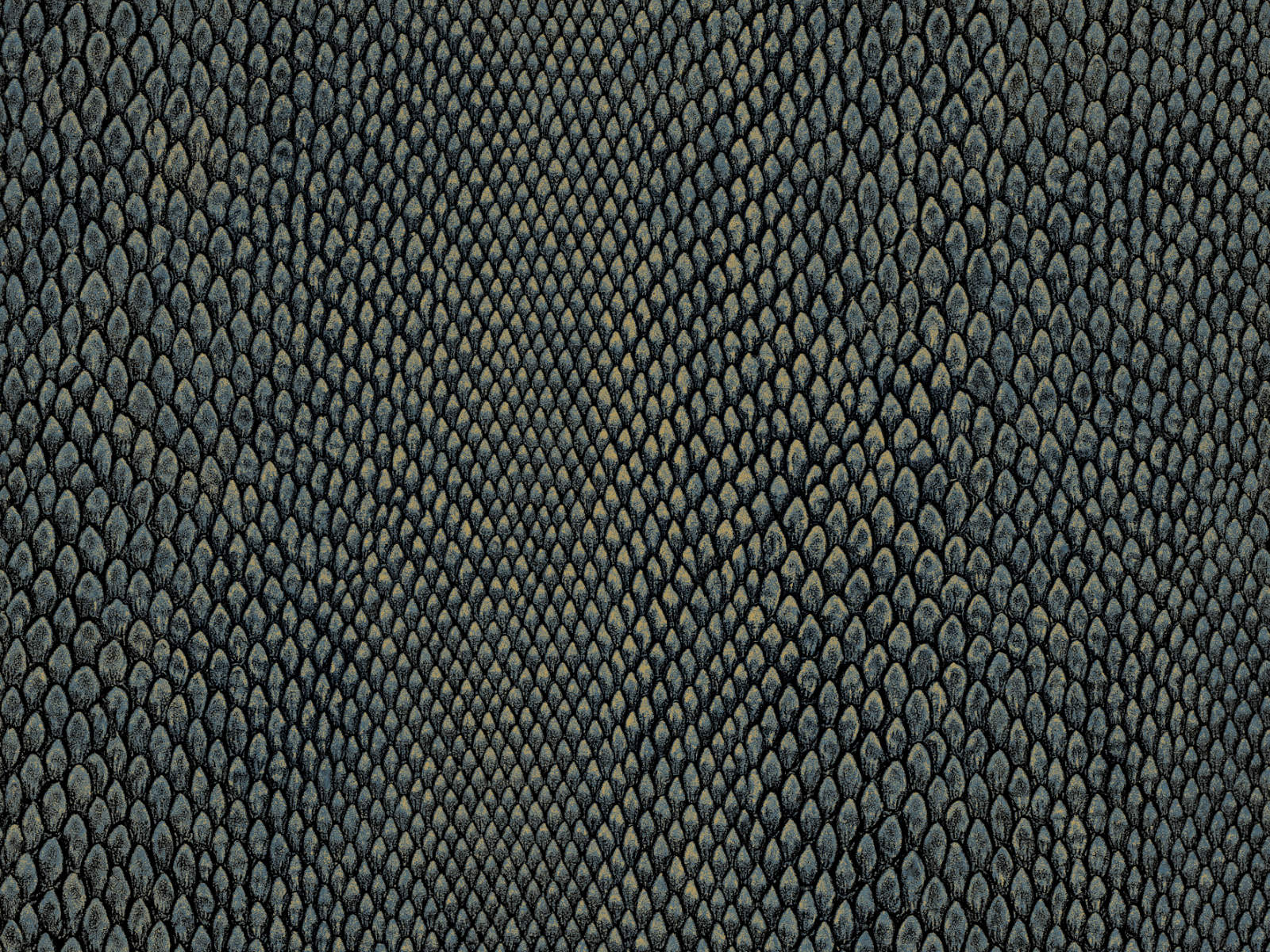 HookedOnWalls Leopard Walk Naja - 15335