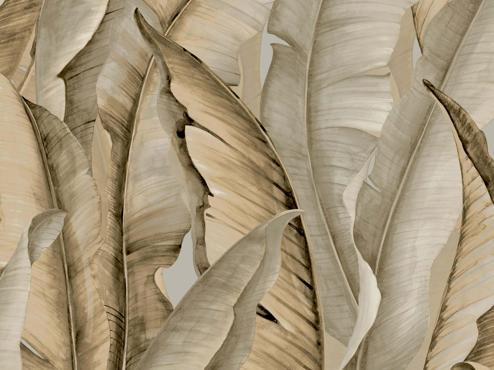 HookedOnWalls Leopard Walk Malay - 15340