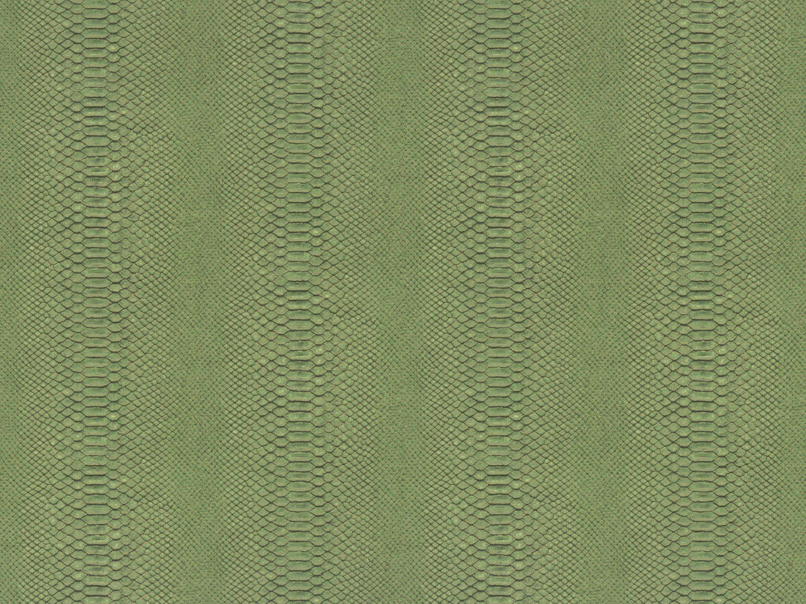 HookedOnWalls Material Matters Python - 24720