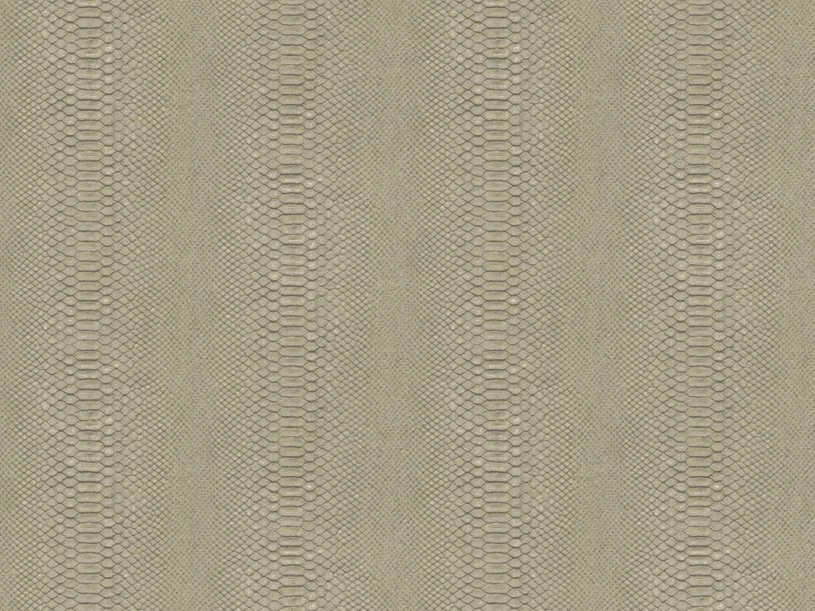 HookedOnWalls Material Matters Python - 24721