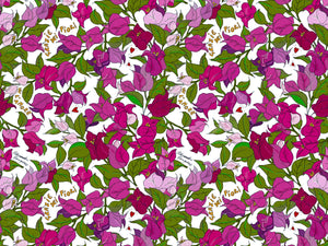 HookedOnWalls Enriquezland D'amour - 25508