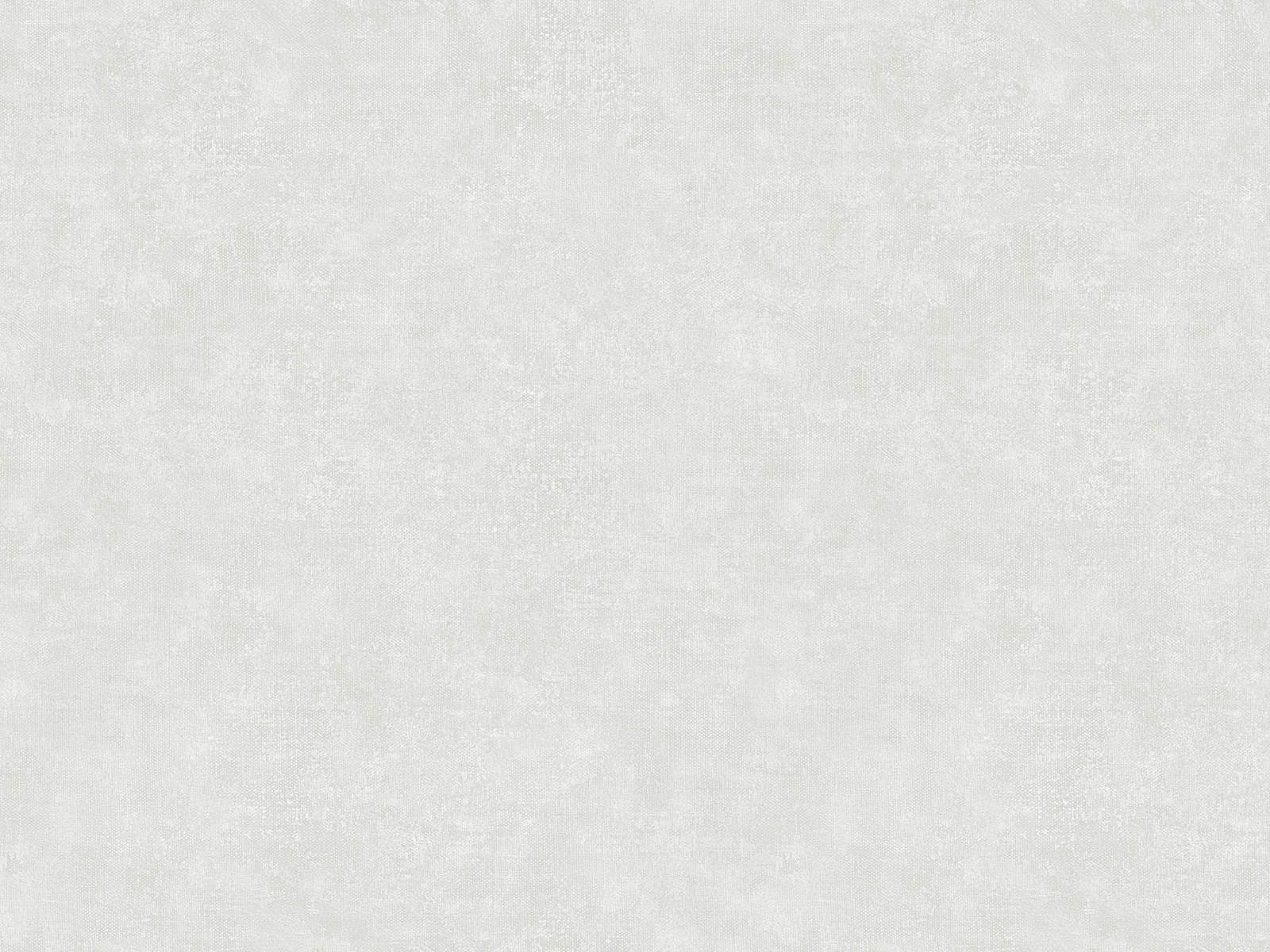 HookedOnWalls Academy Unito Airone - 25660