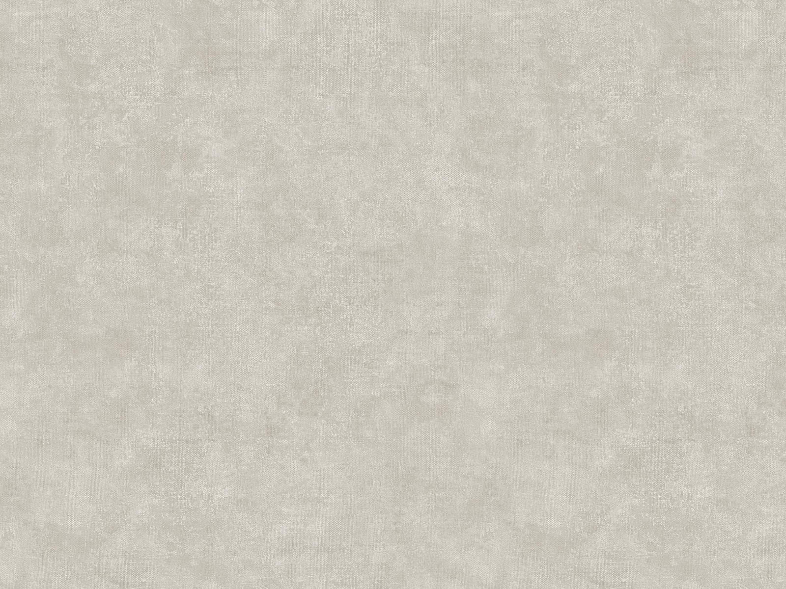 HookedOnWalls Academy Unito Airone - 25664